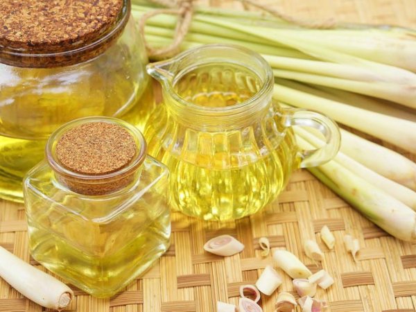 The Power of&nbsp;Lemongrass